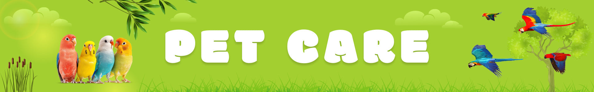 "Colorful parrots and lovebirds on green background with PET CARE text – banner for bird food and pet supplies UAE"