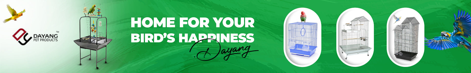 dayang