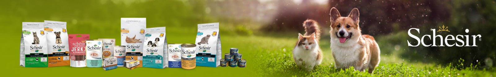 Schesir pet food collection featuring various dog and cat food products, including kibble, wet food, and snacks, set against a lush green background with a playful dog and cat.