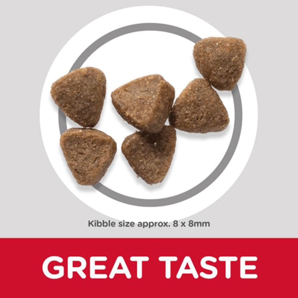 Hills Science Plan Kitten Dry Food Tuna - 1.5Kg