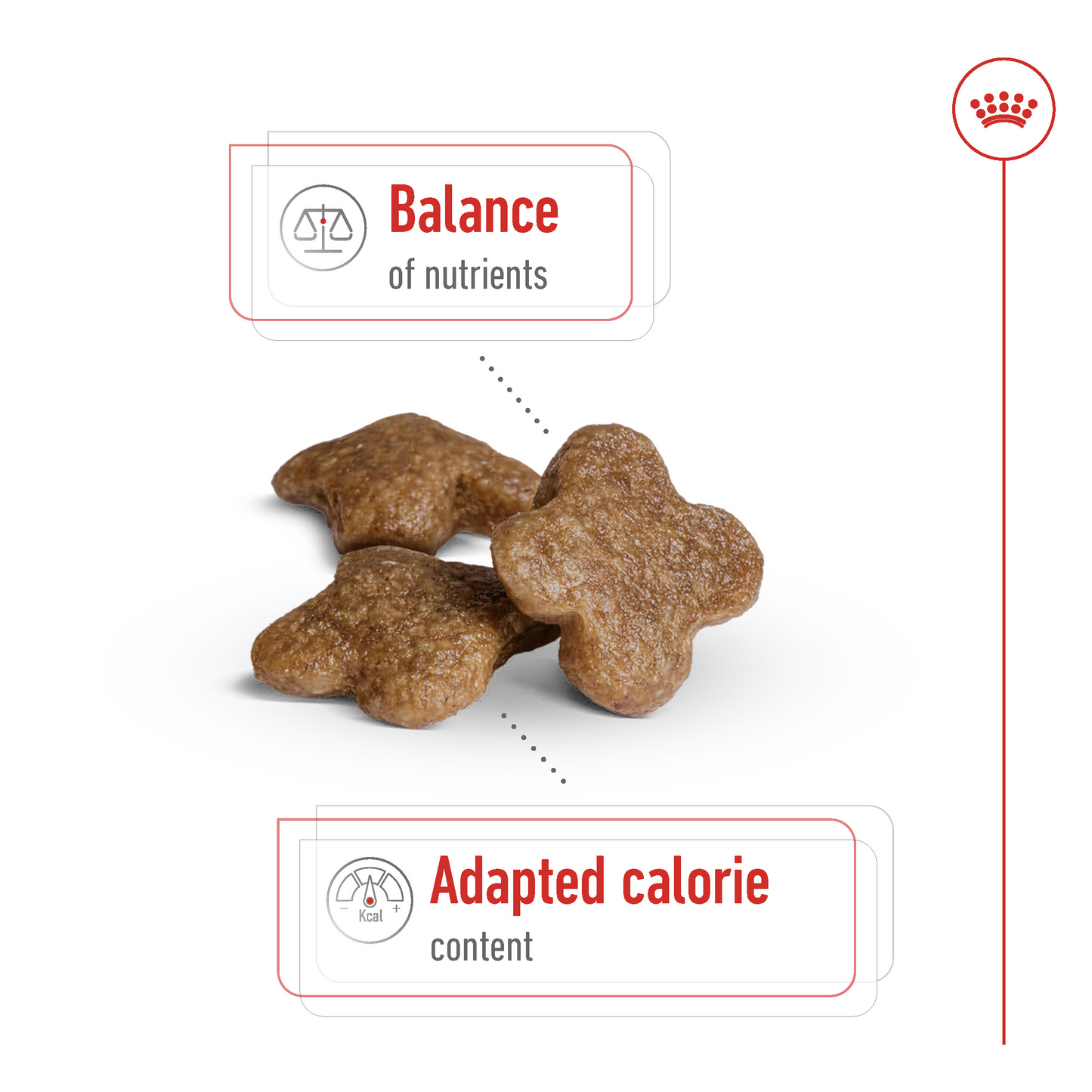 Royal Canin Size Health Mini Adult 8+ Dog Food 2kg