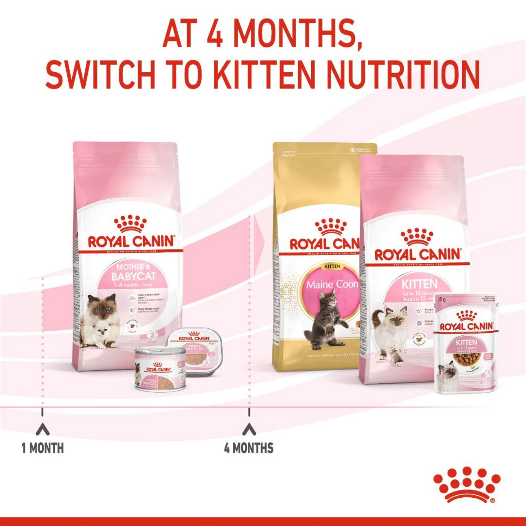 Royal Canin Feline Health Mother & Babycat Dry food 10kg