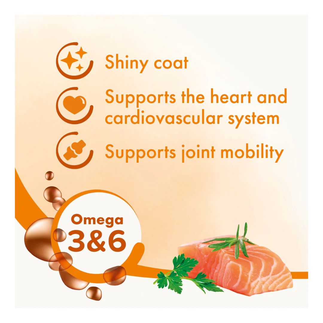 Beaphar Pure Salmon Oil for Dogs & Cats – 430ml