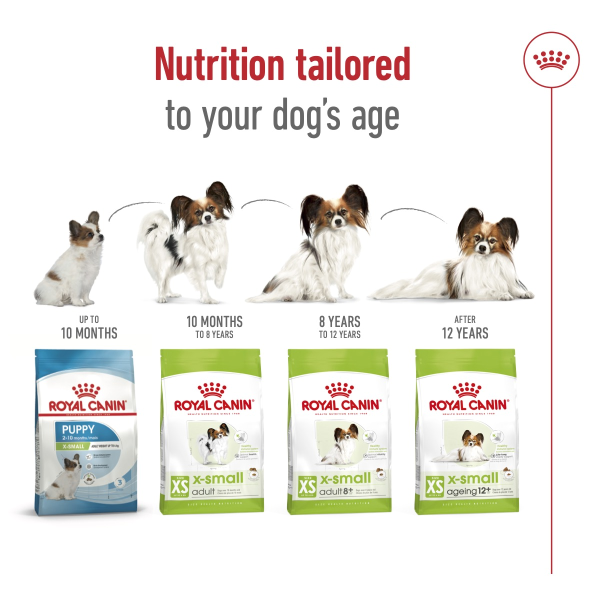 Royal Canin Size Health XS Adult 8+Dry Dog Food