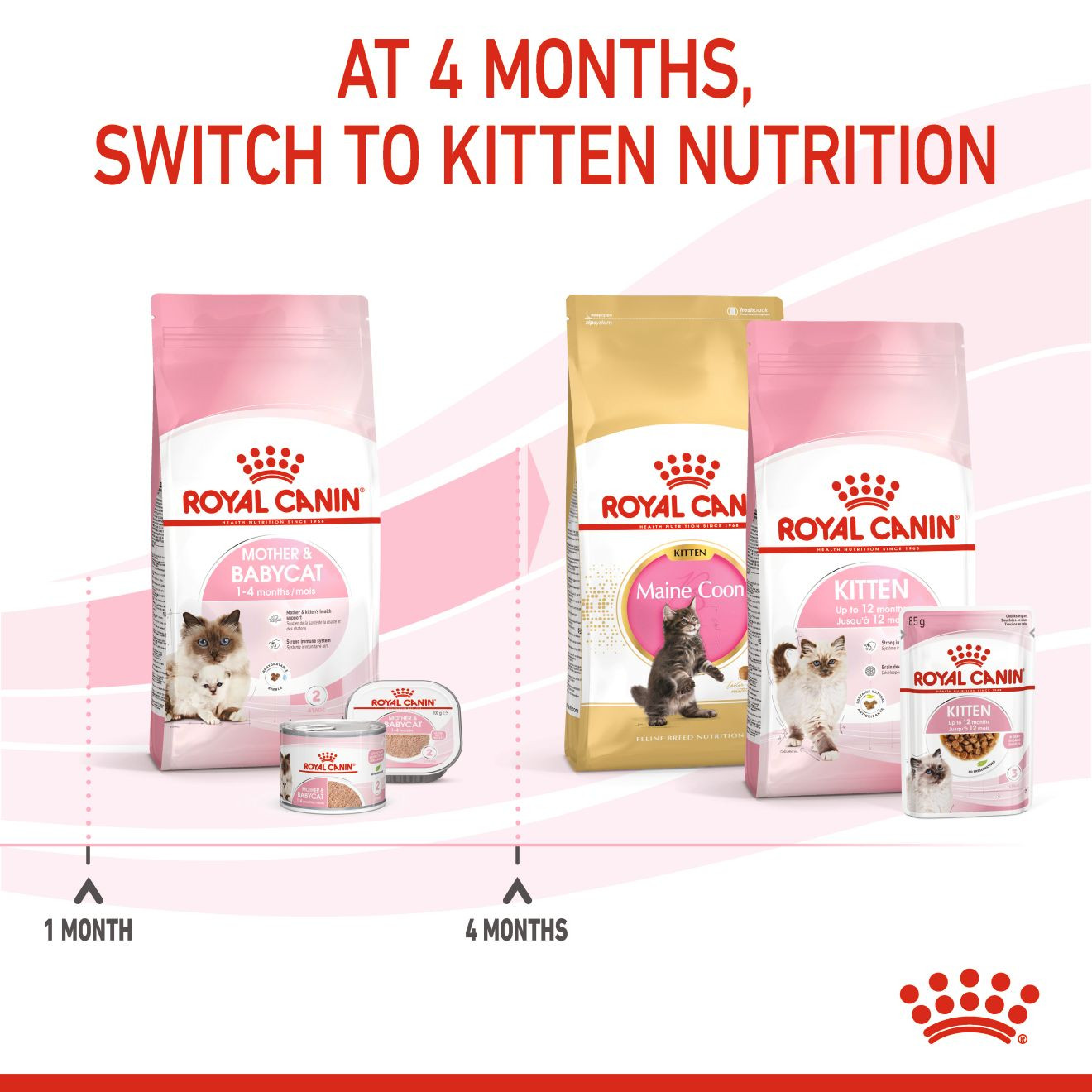 Royal Canin Feline Health Mother & Babycat Dry food 10kg