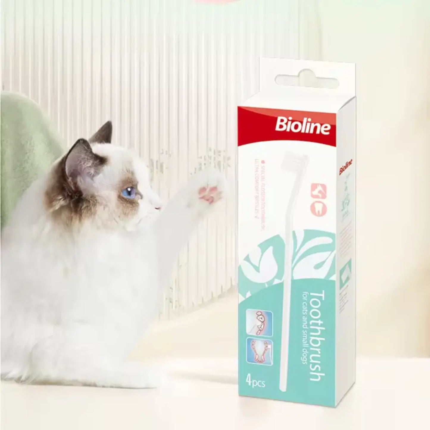 Cat interacting with a Bioline toothbrush packaging on a white background