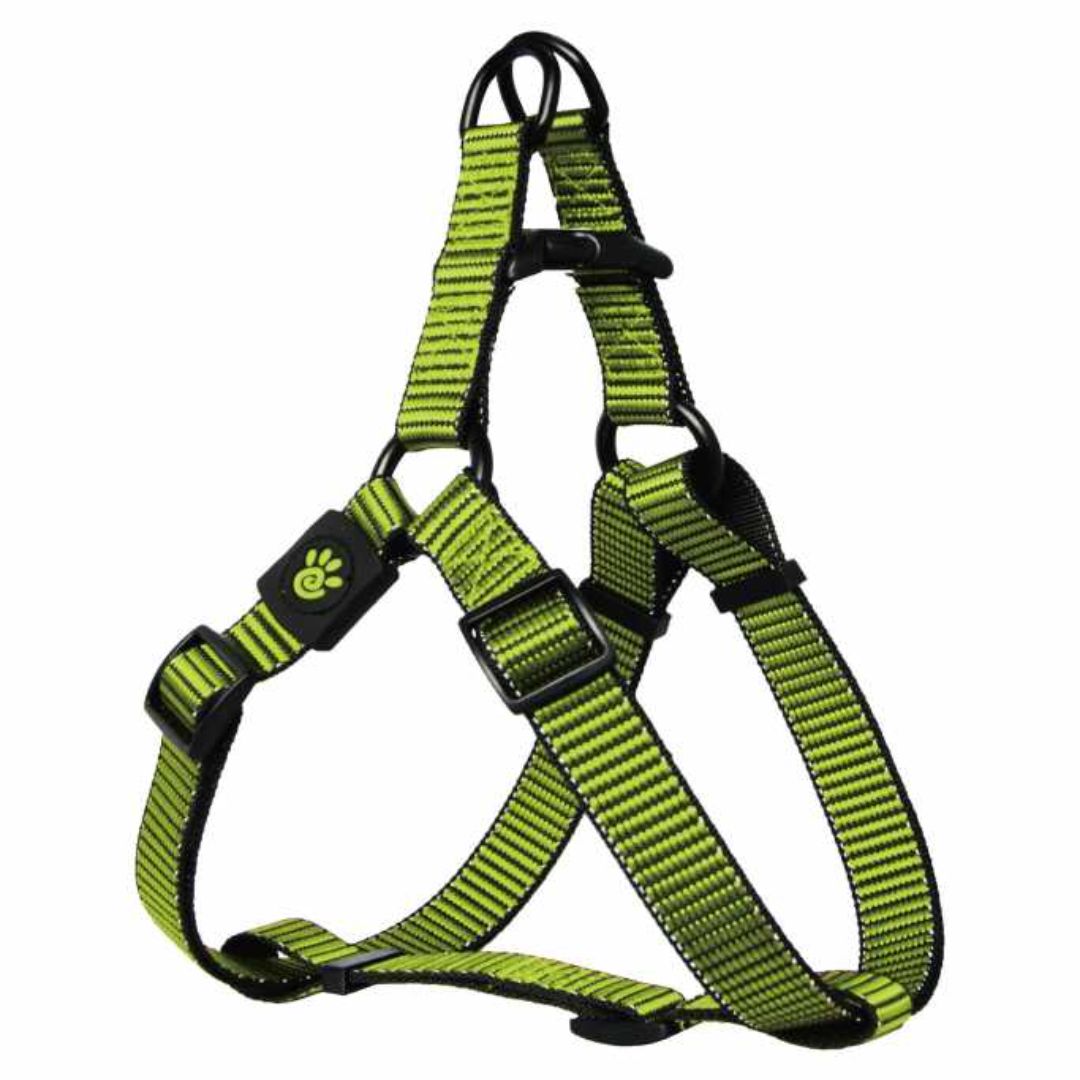 Doco Martini Bean Harness