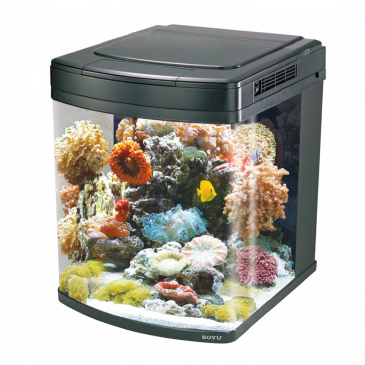 Boyu Marine Aquarium With Cabinet - 520x580x630