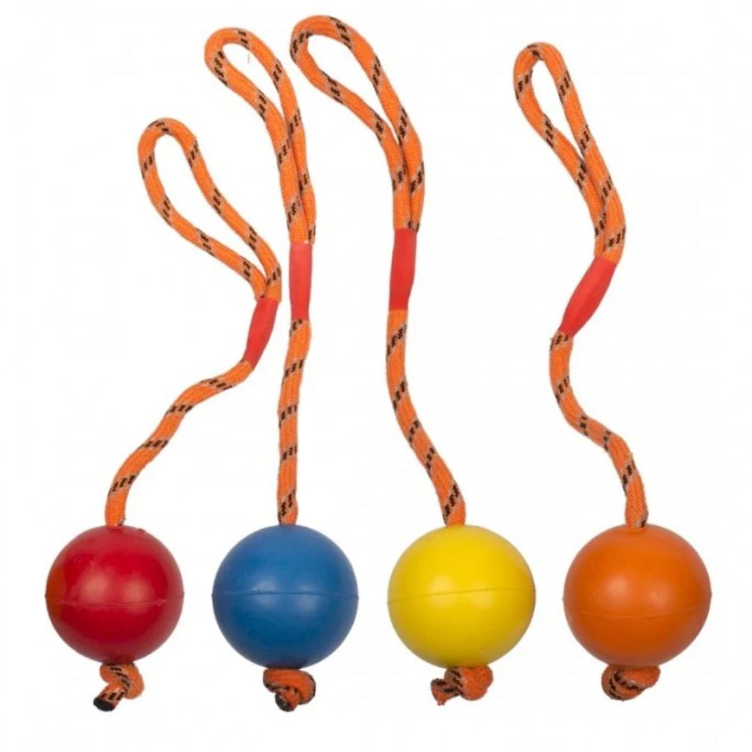 Duvo+ Rubber Ball With Rope Dog Toy Mixed Colors – 6cm Diameter 30cm Length