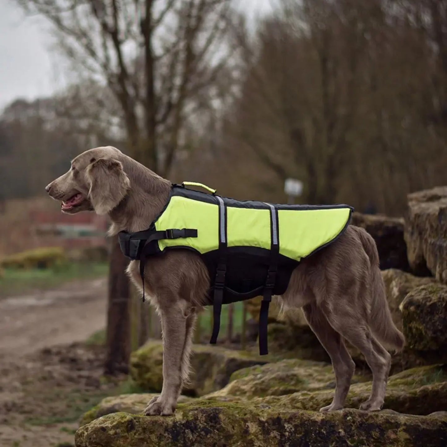 Duvo+ Dog Life Jacket Hi Vis Marine - XS