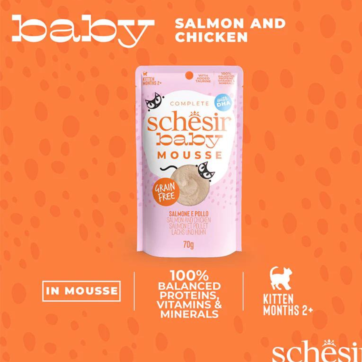 Schesir Baby Kitten Mousse Chicken & Salmon Wet Food - 70G