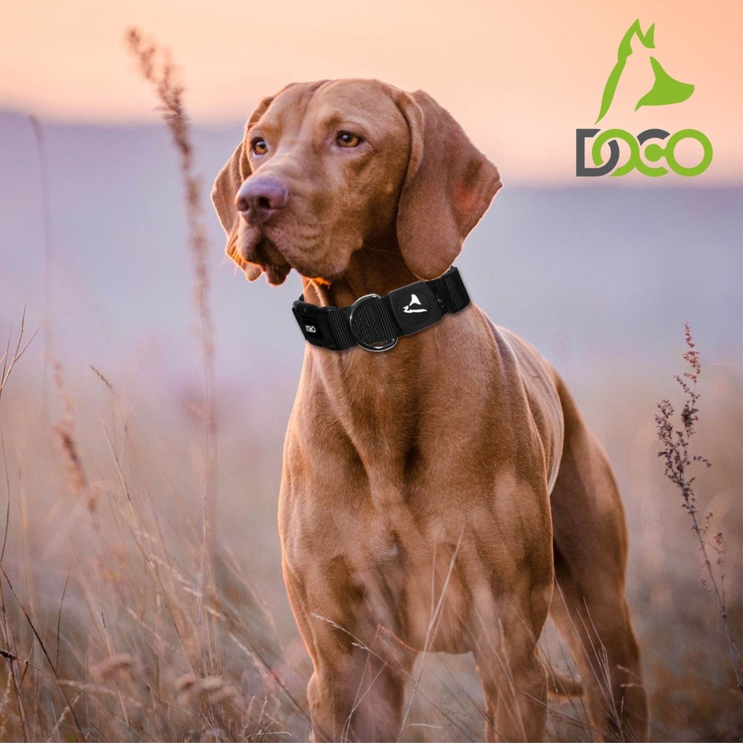 Doco Signature Nylon Collar Color Pink Sizes - Xl