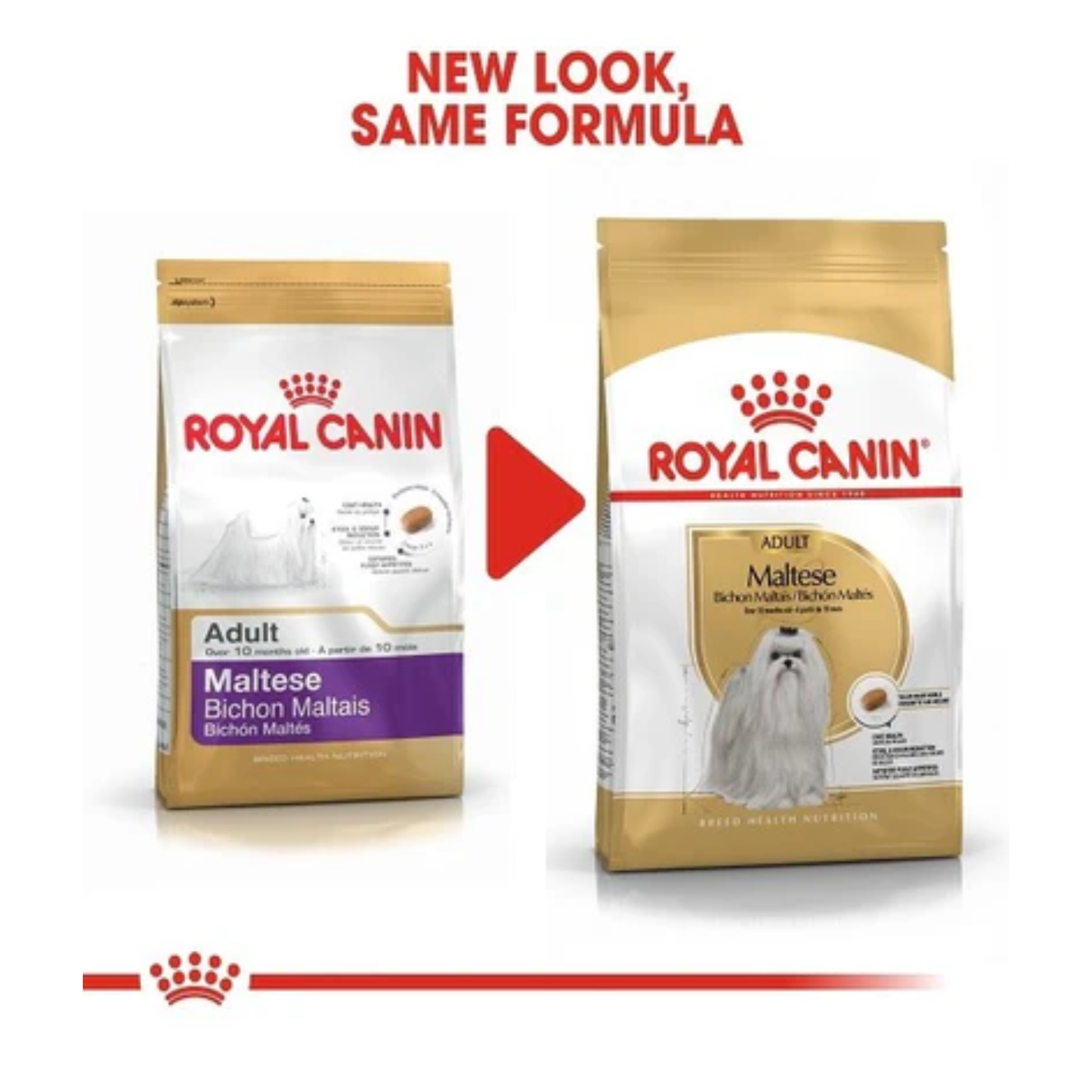 Royal Canin Breed Health Nutrition Maltese Adult Dry Food 1.5kg