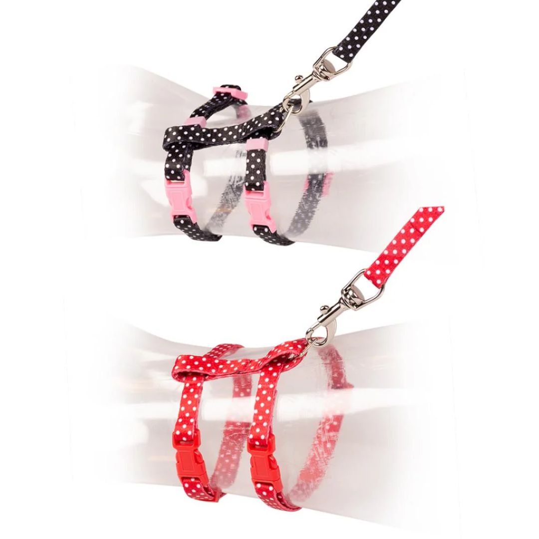 Duvo+ Kitten Harness & Leash Set Black/Red - 15-25cm
