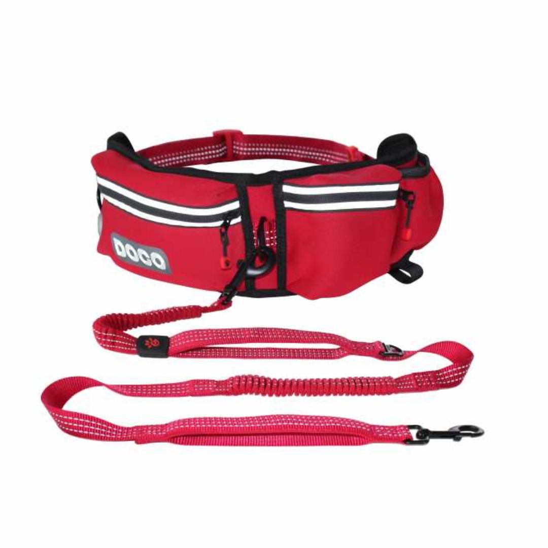 Doco Reflective Jogging Belt With Reflective Nylon Bungee Leash – Red