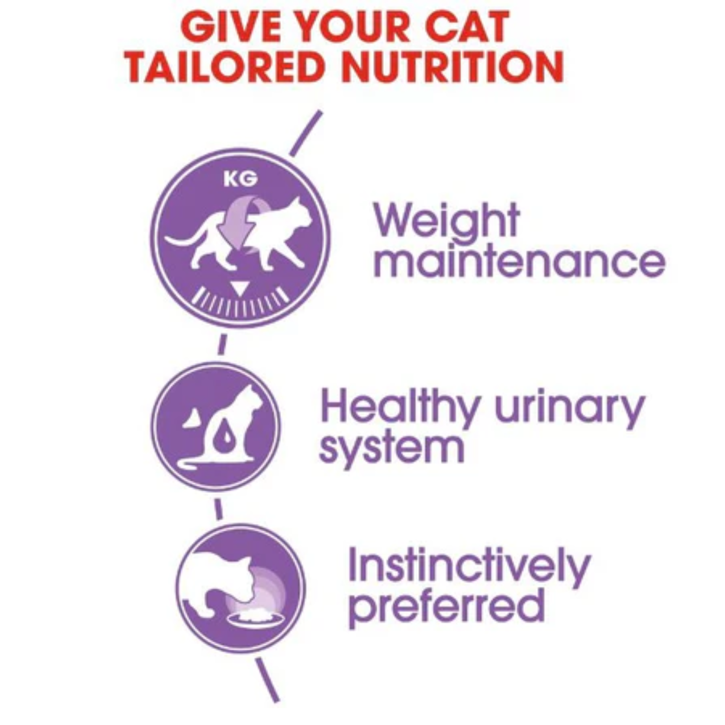 Diagram of cat nutrition benefits with icons and text on a white background