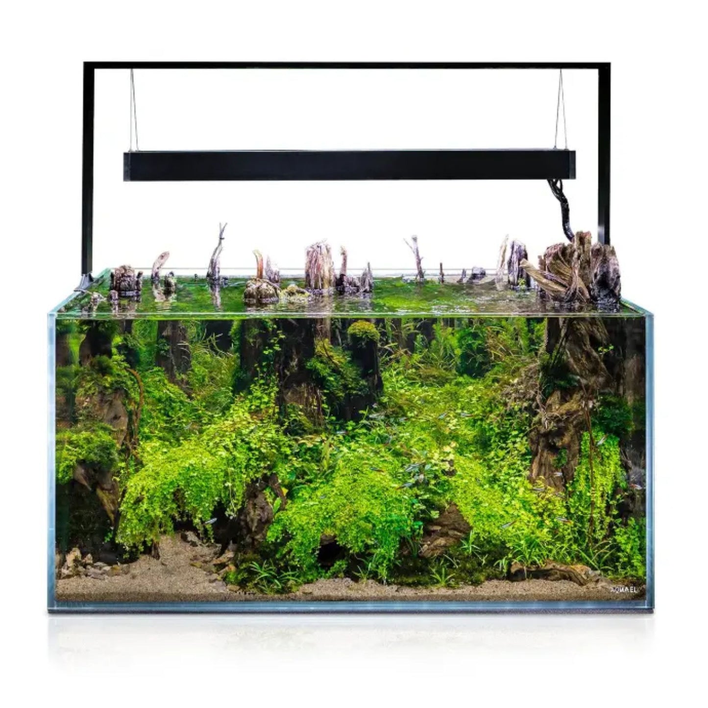 Aquael Aquarium Ultra Scape Forest - 60L