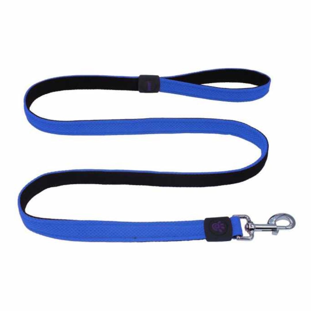 Doco Jelly Bean Dog Leash - 5Ft