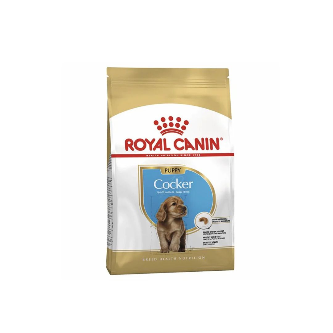 Royal Canin Breed Health Nutrition Cocker Puppy Dry food 3kg