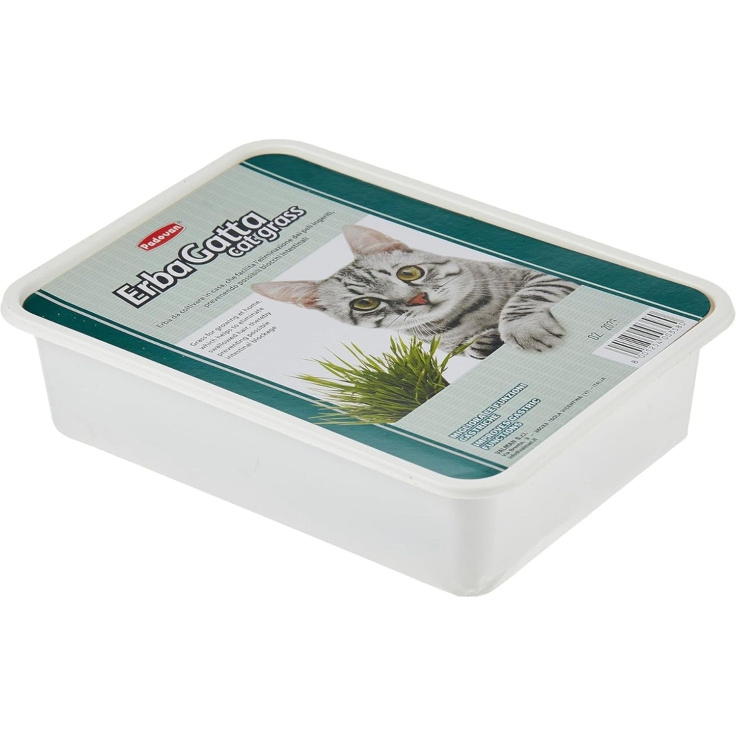 Padovan Erbagatto Cat Grass – Natural Digestive Aid For Cats