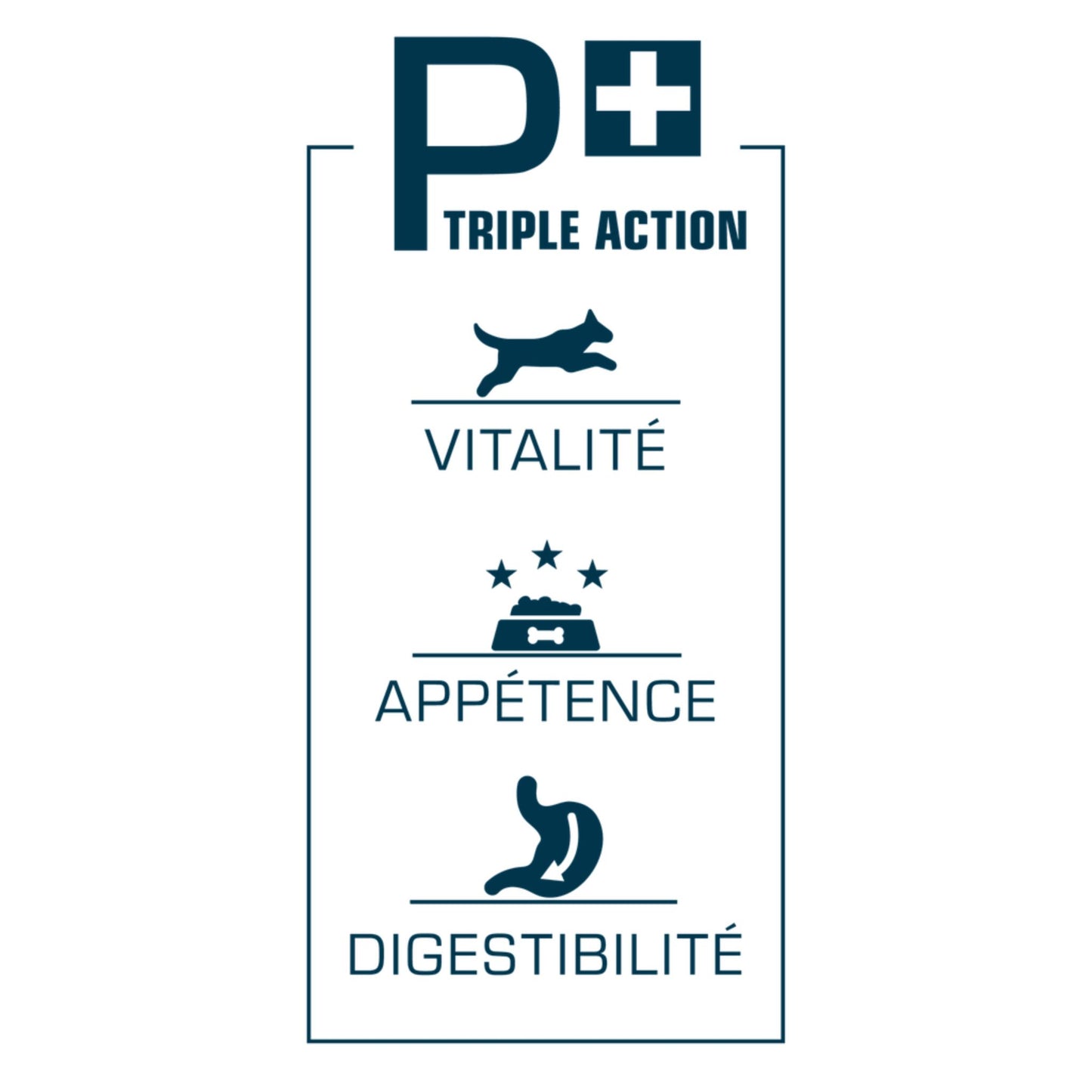 Logo with 'Triple Action' text and icons on a white background