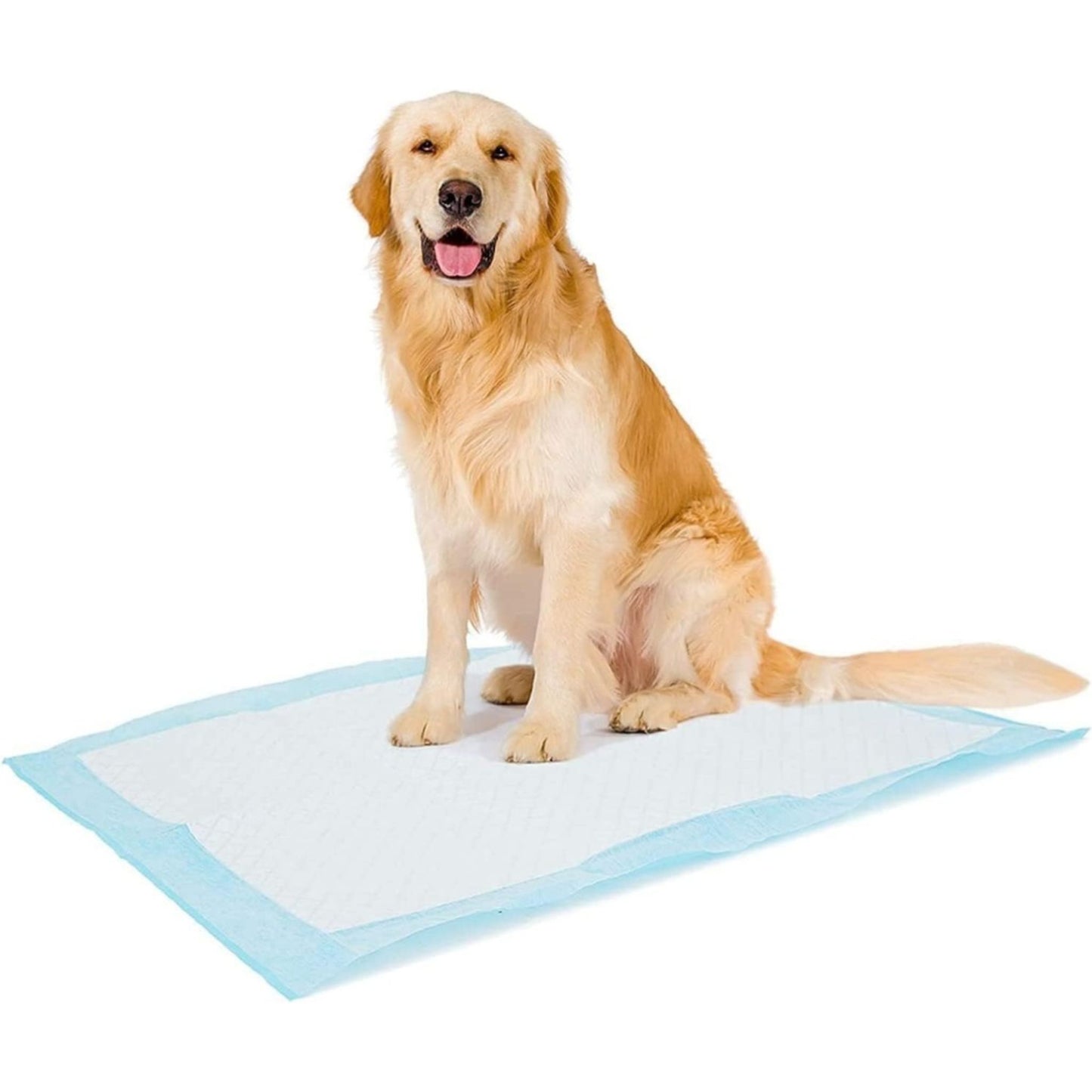 Duvo+ Pet Pads Premium XL Odour Control – 60x60cm