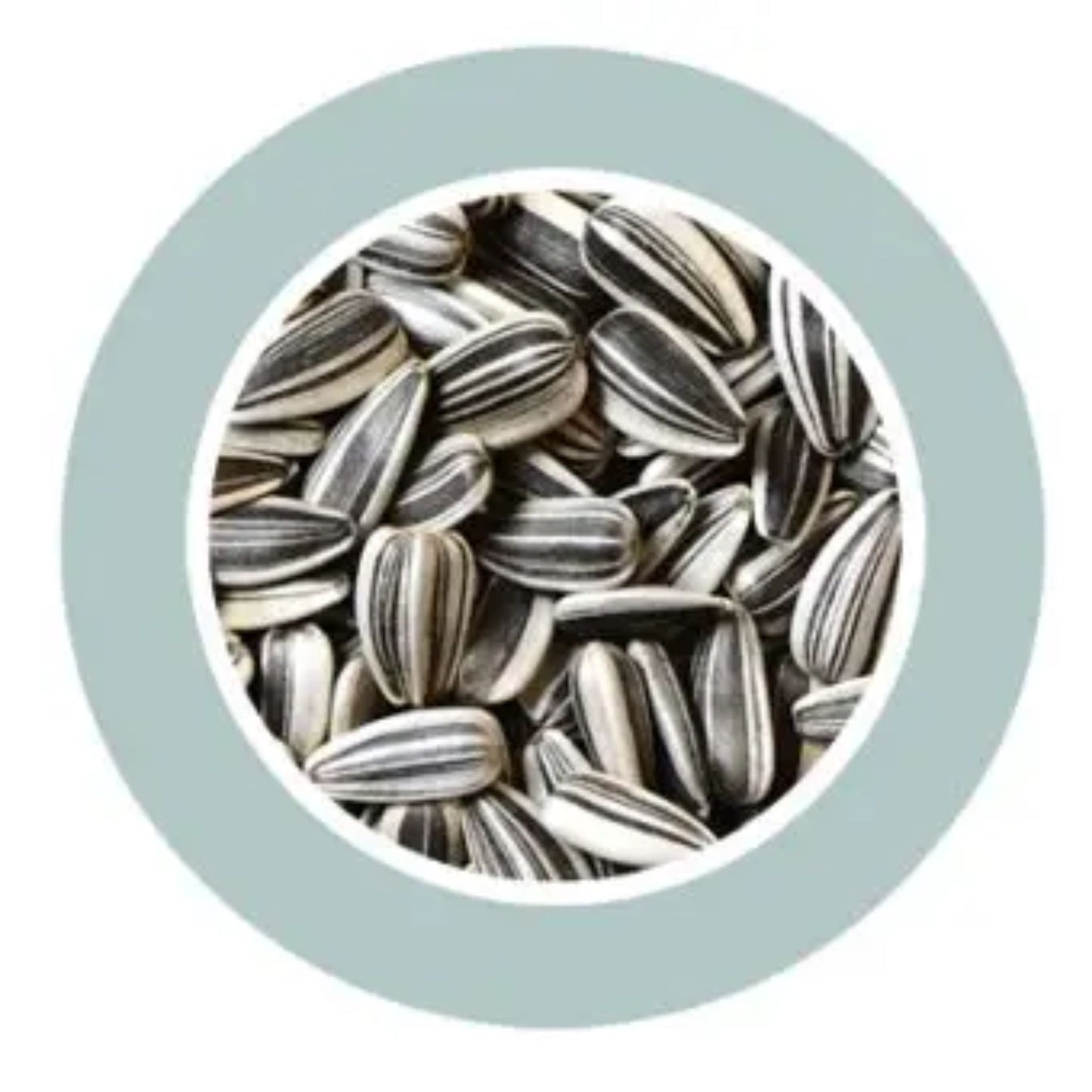 Padovan Sunseeds Premium Bird Seeds Natural Mix – 500g