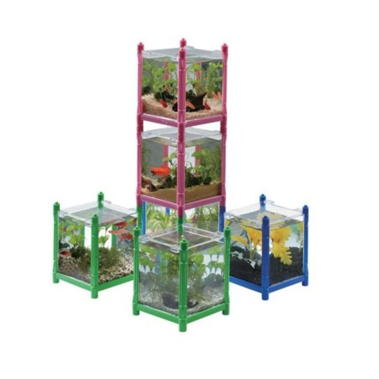KW Zone Mini Glass Tank - Betta