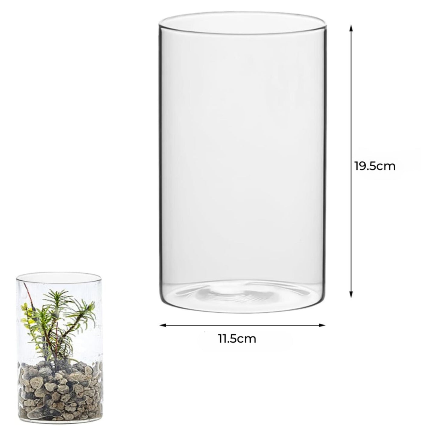 Clear cylindrical vase with dimensions on a white background