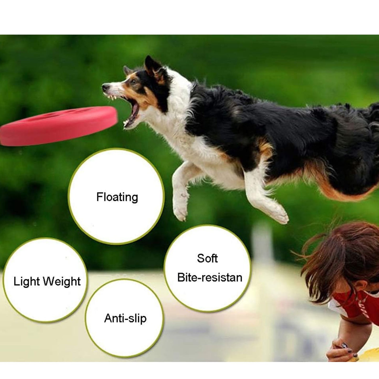 Dog jumping to catch a red frisbee with features highlighted on a blurred background