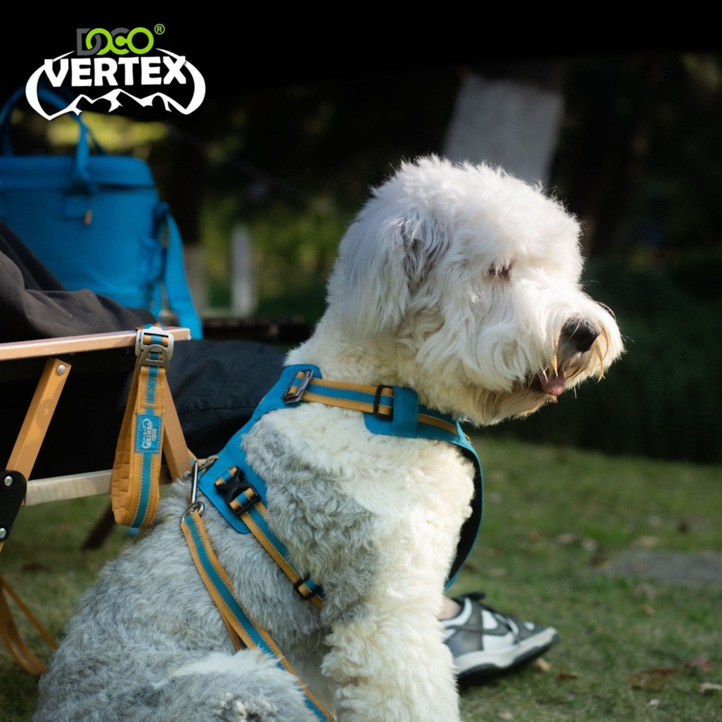 Dog wearing a harness with a blurred background and 'VERTEX' branding.