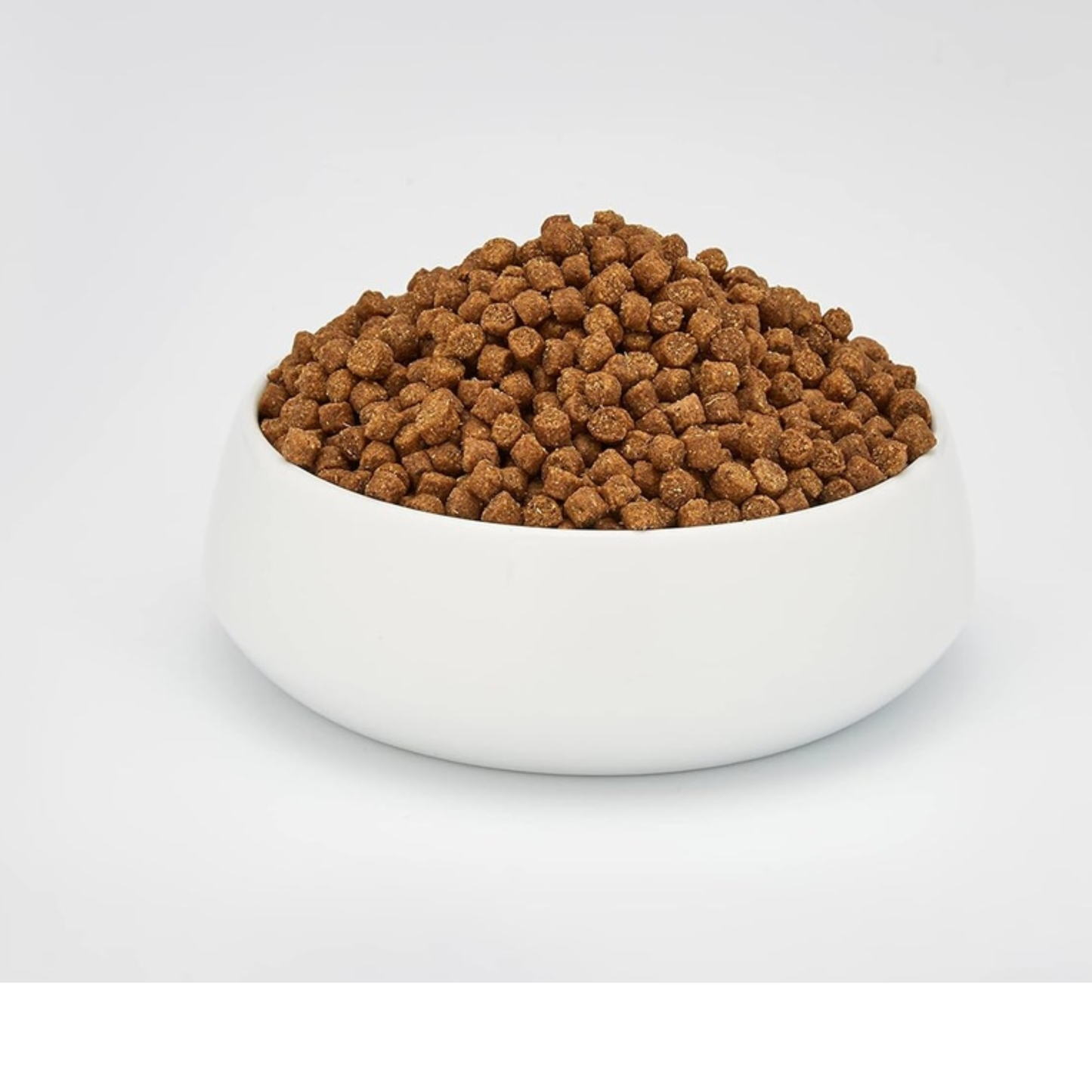 Schesir Adult Dry Cat Food - Chicken Maintenance - 10kg