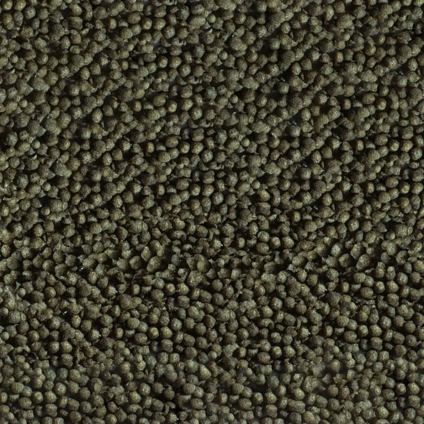 Sera Goldy Color Spirulina Goldfish Food With Spirulina - 250ML