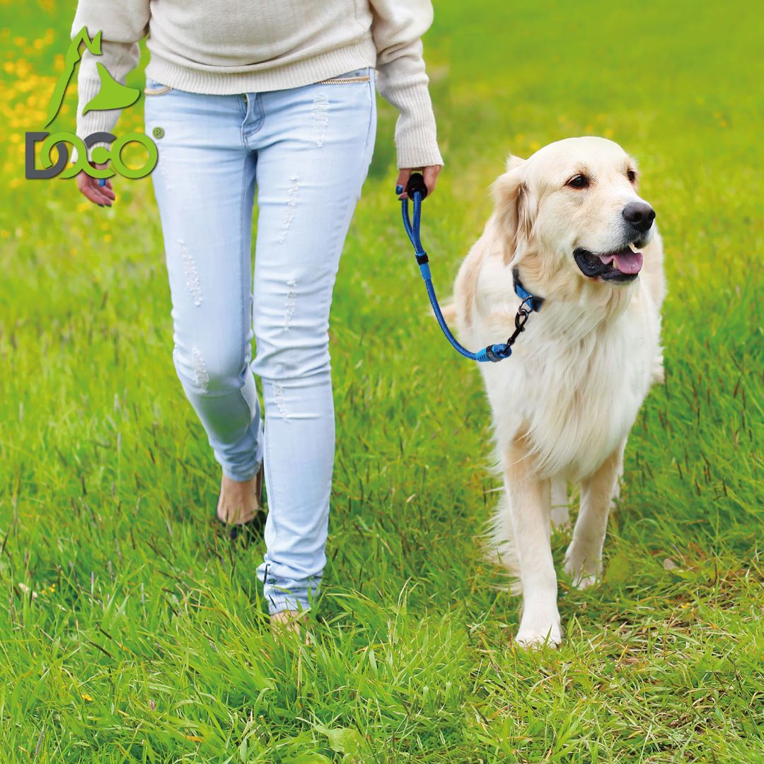 Doco 20 Rope Leash With Ergocurve Foam Handle Red - Large