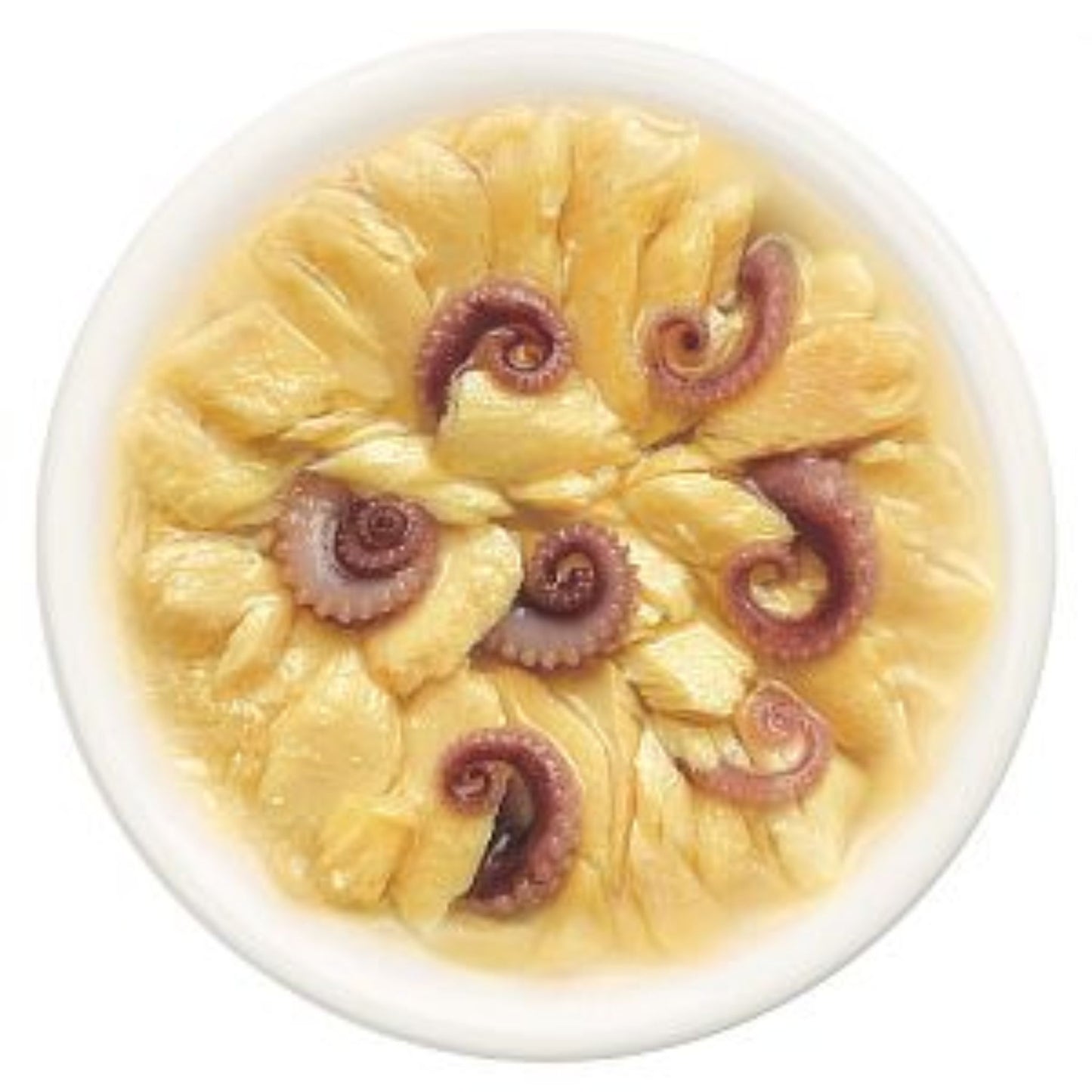 Cat Fest Salmon & Octopus In Jelly Protein-Rich Wet Food