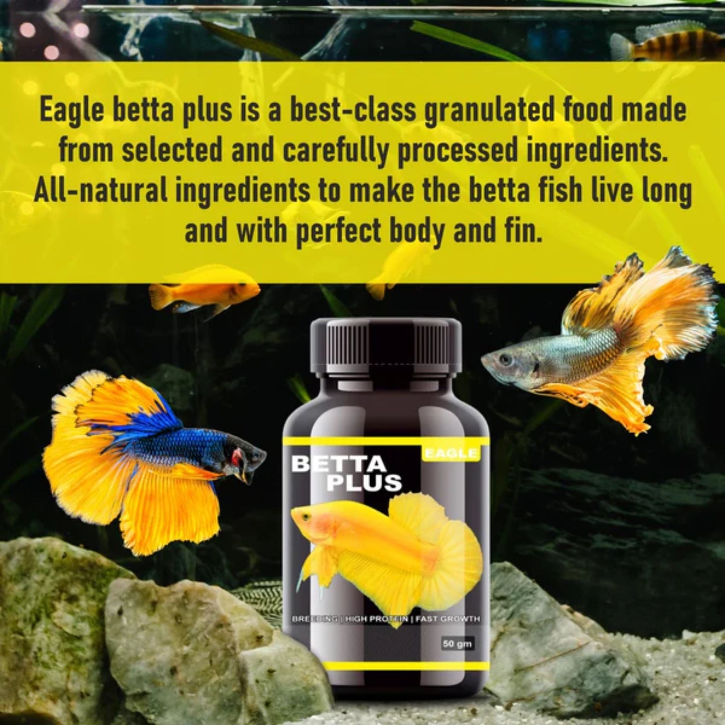 Horizone Eagle Betta Plus Liquid Supplement – 100ml