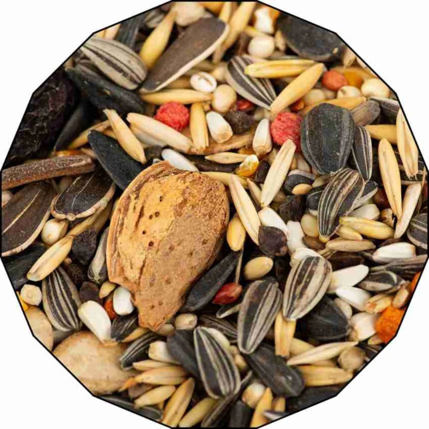 Witte Molen Country Parrot Food Premium Seed Mix – 2Kg