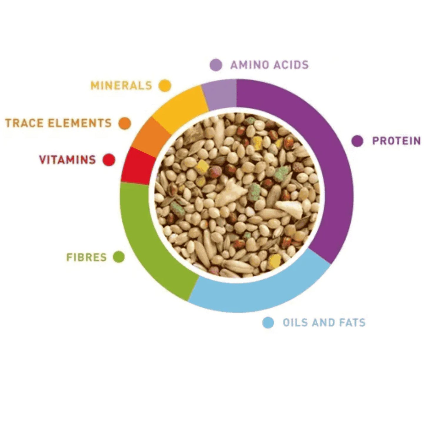 Padovan Wellness Budgies Food Balanced Nutrition Mix – 1kg