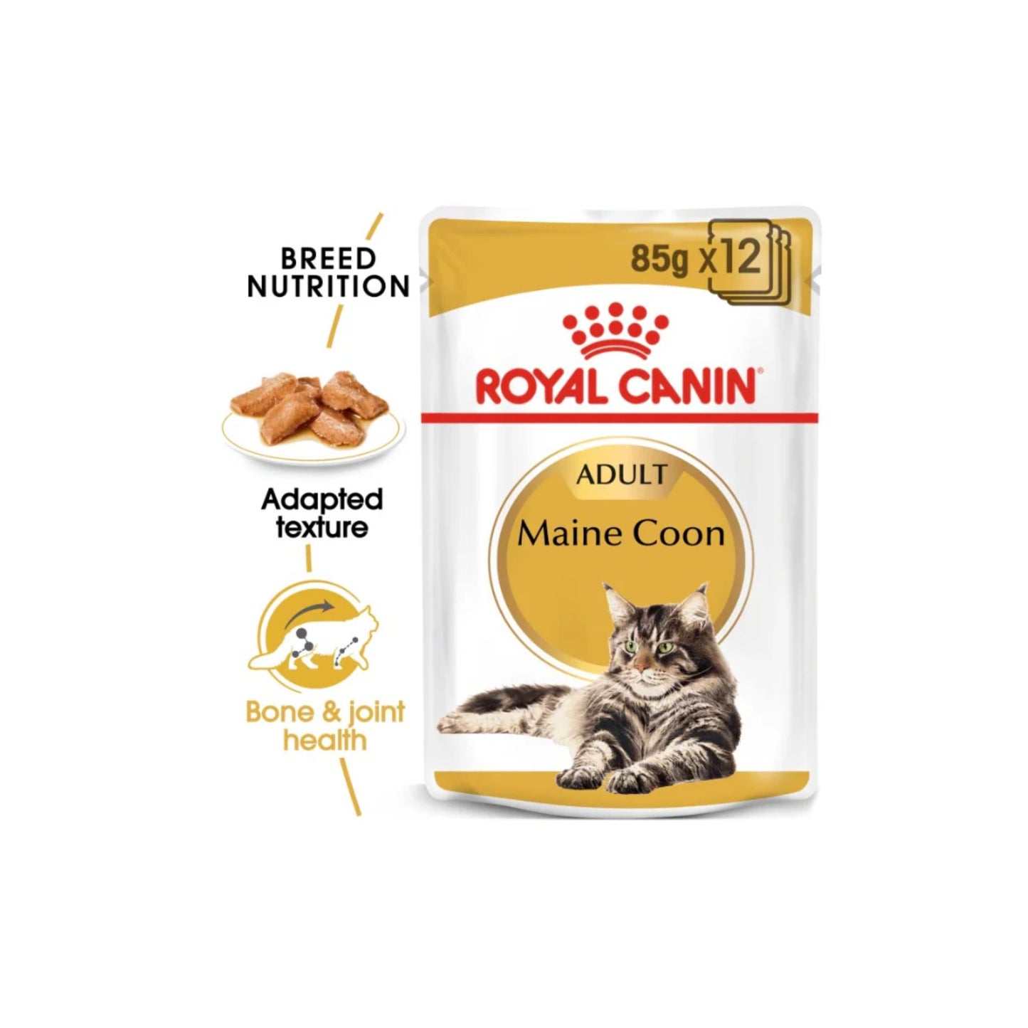Royal Canin Maine Coon cat food package on a white background