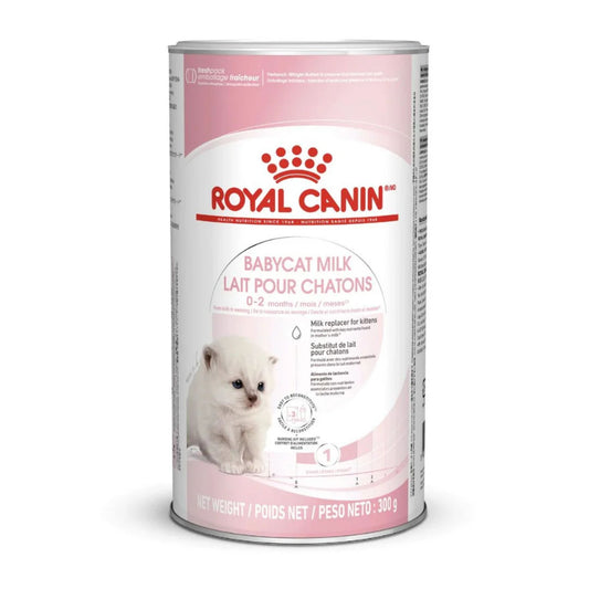 Royal Canin Feline Health Babycat Milk Powder - 300g