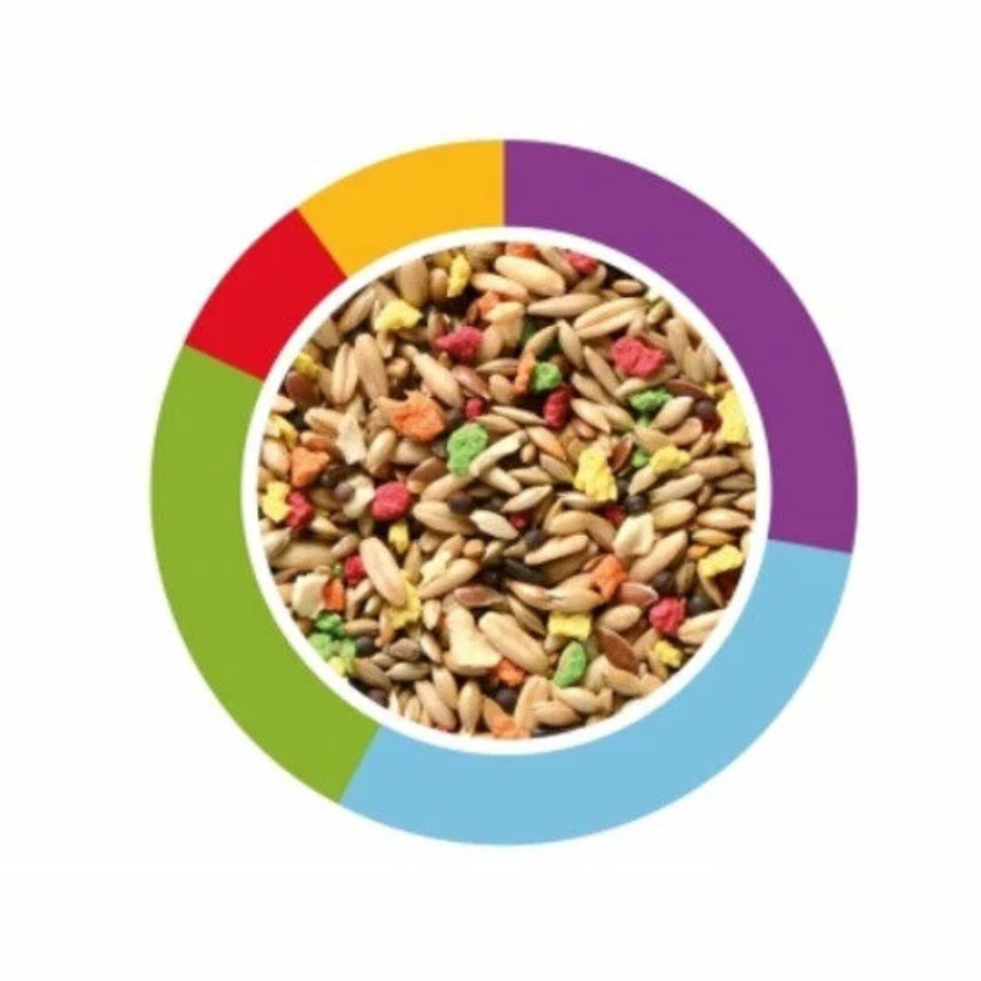 Colorful pet food mix in a circular dish with color swatches around it.