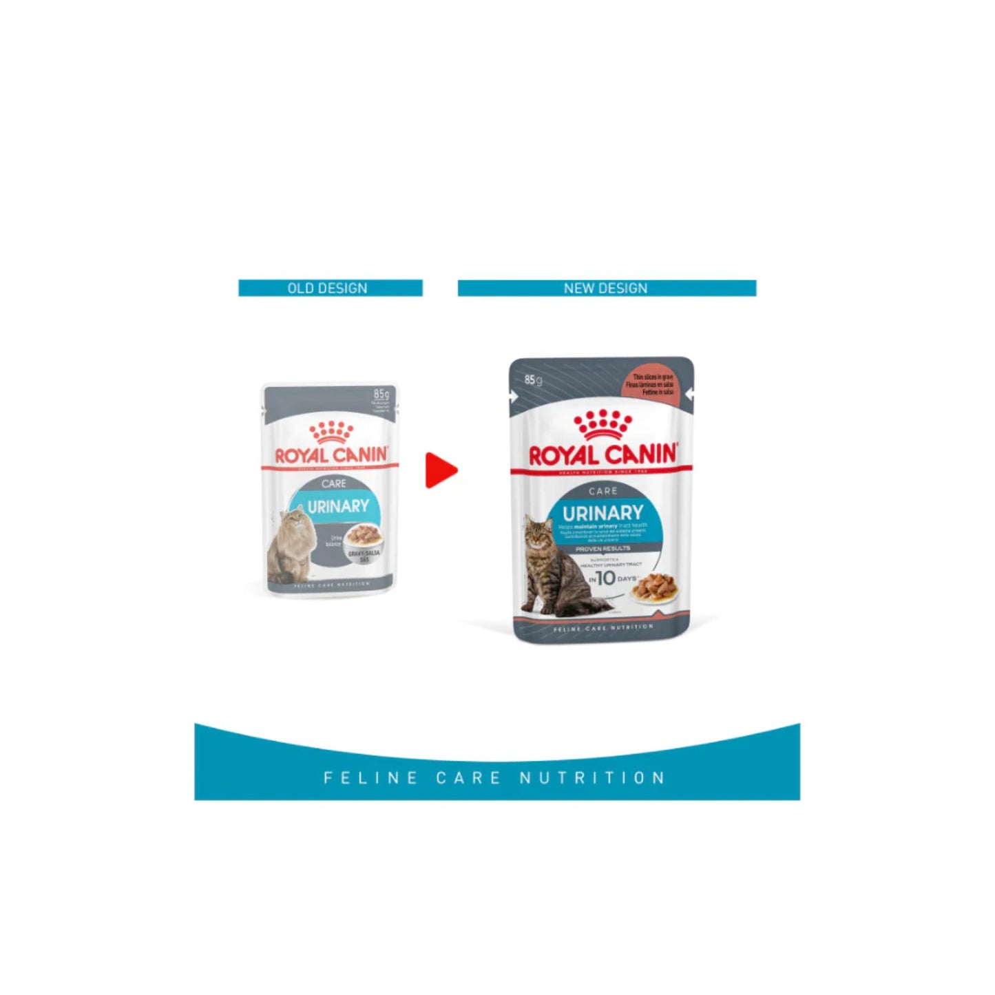 Comparison of Royal Canin cat food packages with old and new design on a white background.