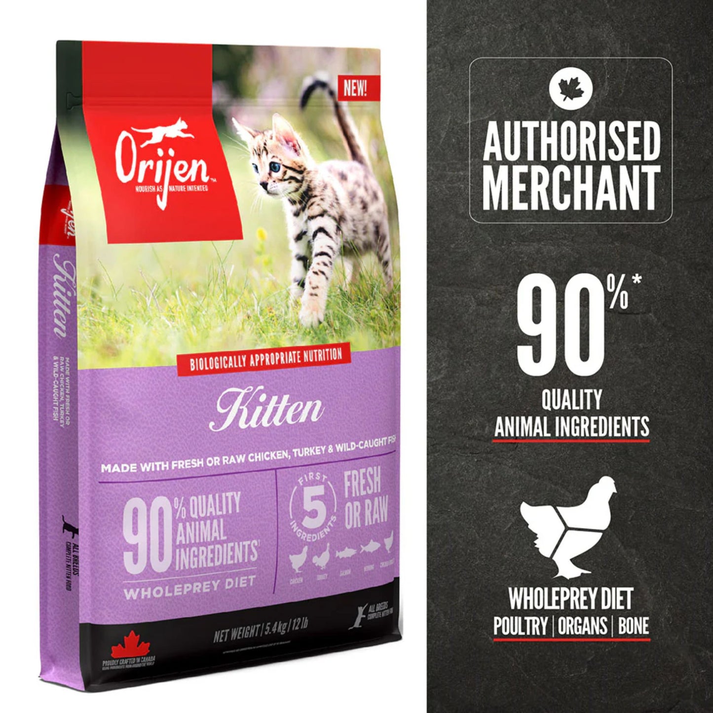Orijen Kitten food package with a cat on the label and an 'Authorised Merchant' badge on a dark background.