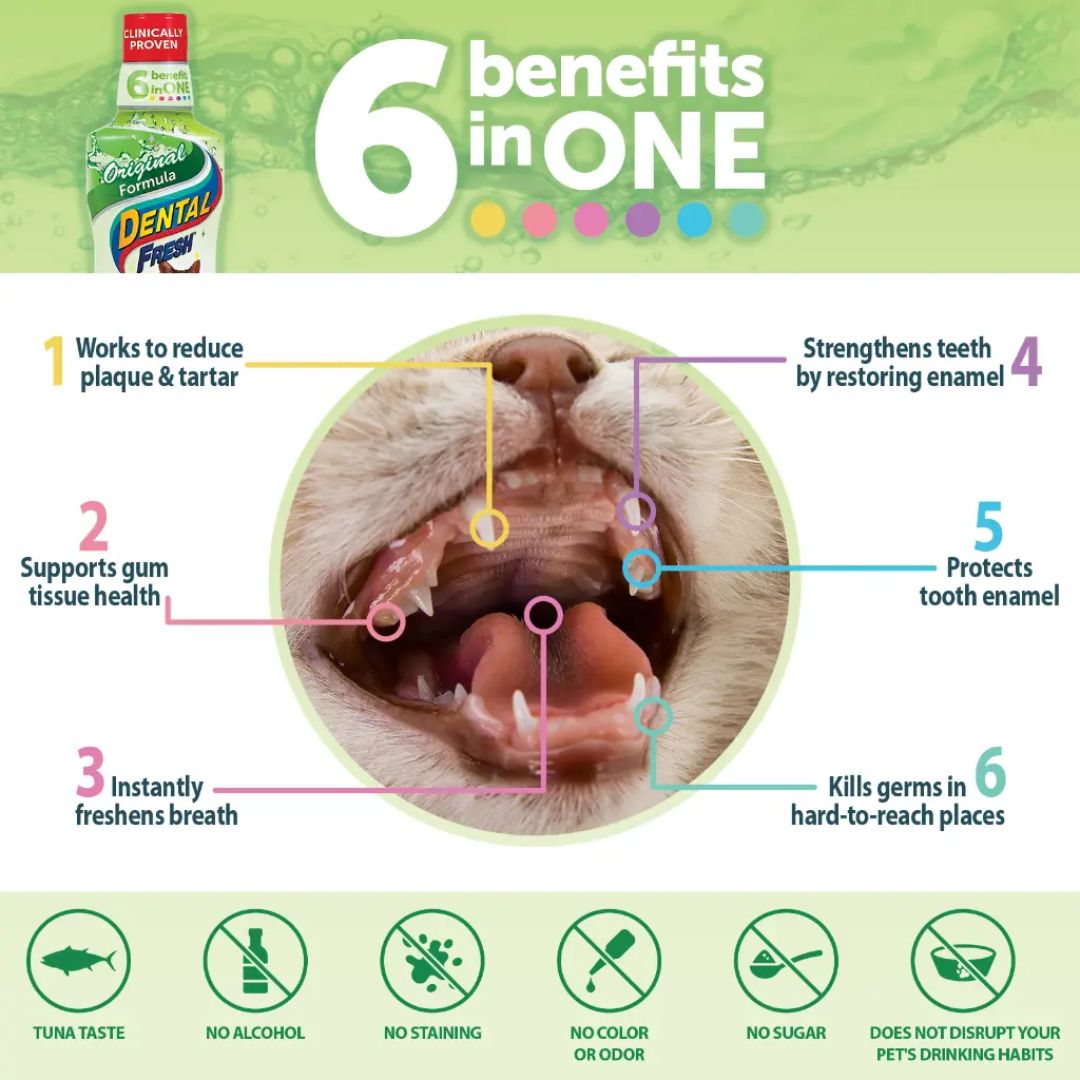 Synergy Labs Dental Fresh For Cats Original Breath Formula - 237ml