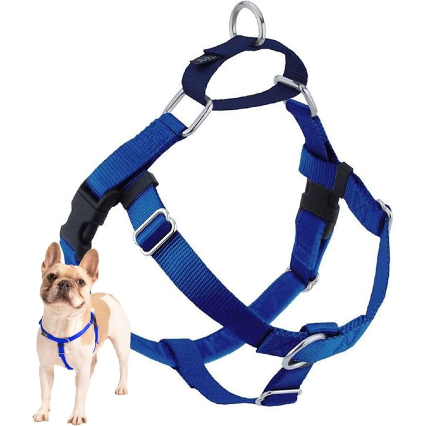 Doco Freedom No-Pull Harness And Leash Royal Blue Size - Medium