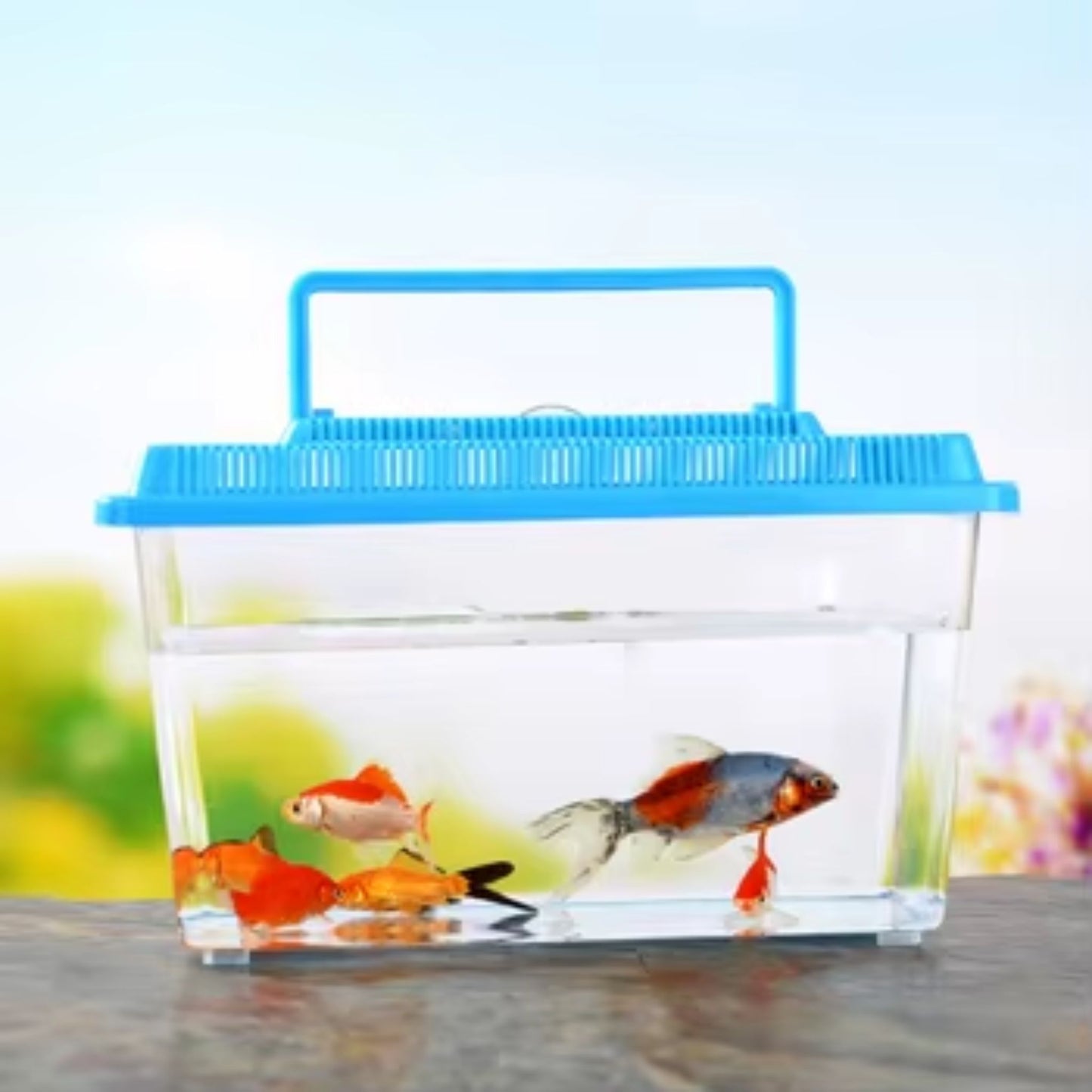KW Zone Plastic Aquarium Tank Large Transparent Fish Tank – 23cm