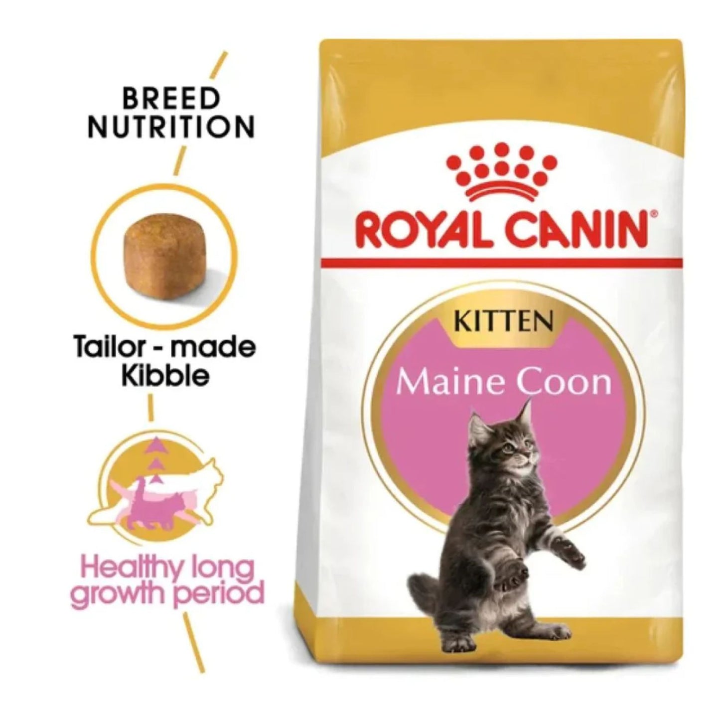 Royal Canin Feline Breed Nutrition Maine Coon Kitten Dry Food - 2kg