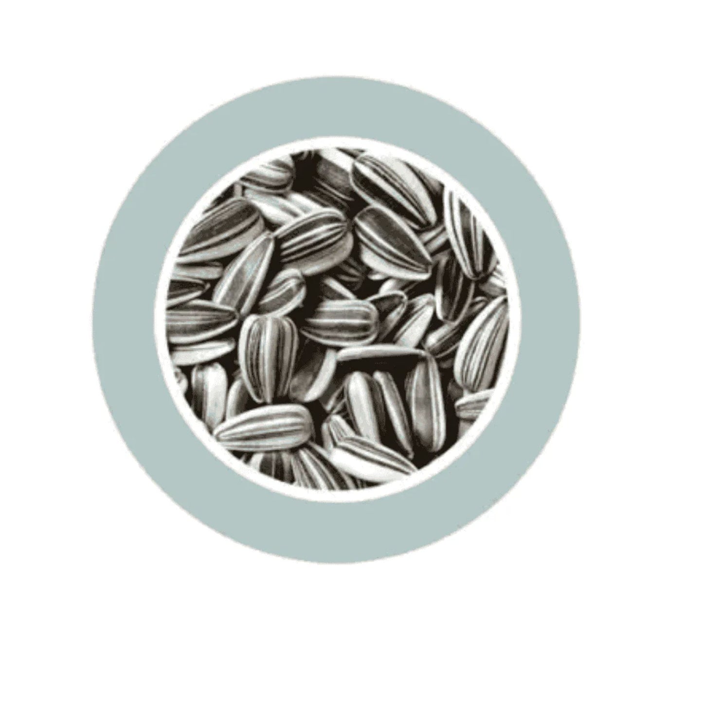 Padovan Sunseeds Bird Food Mix Bulk Pack – 5kg