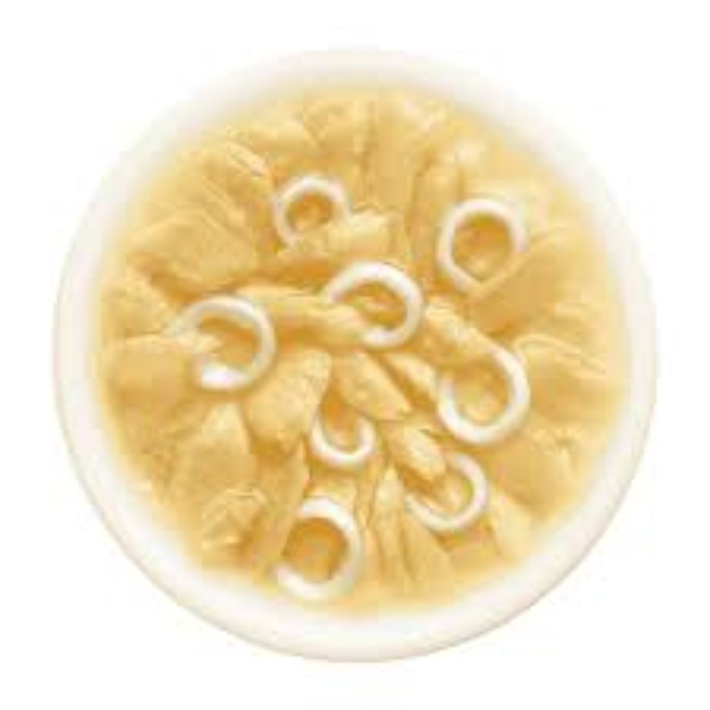 Cat Fest Salmon With Calamari In Tender Jelly For Cats