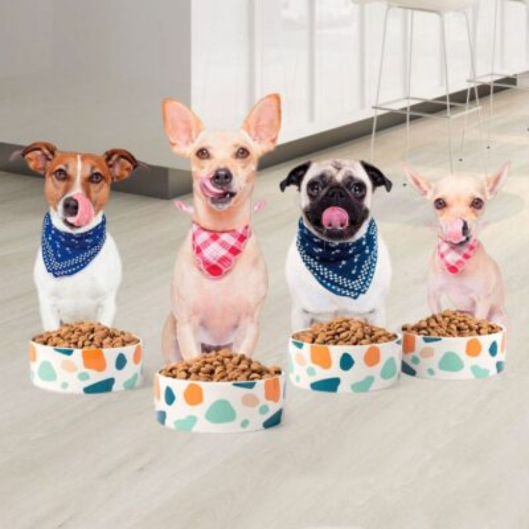 Imac Ceramic Dog Bowl